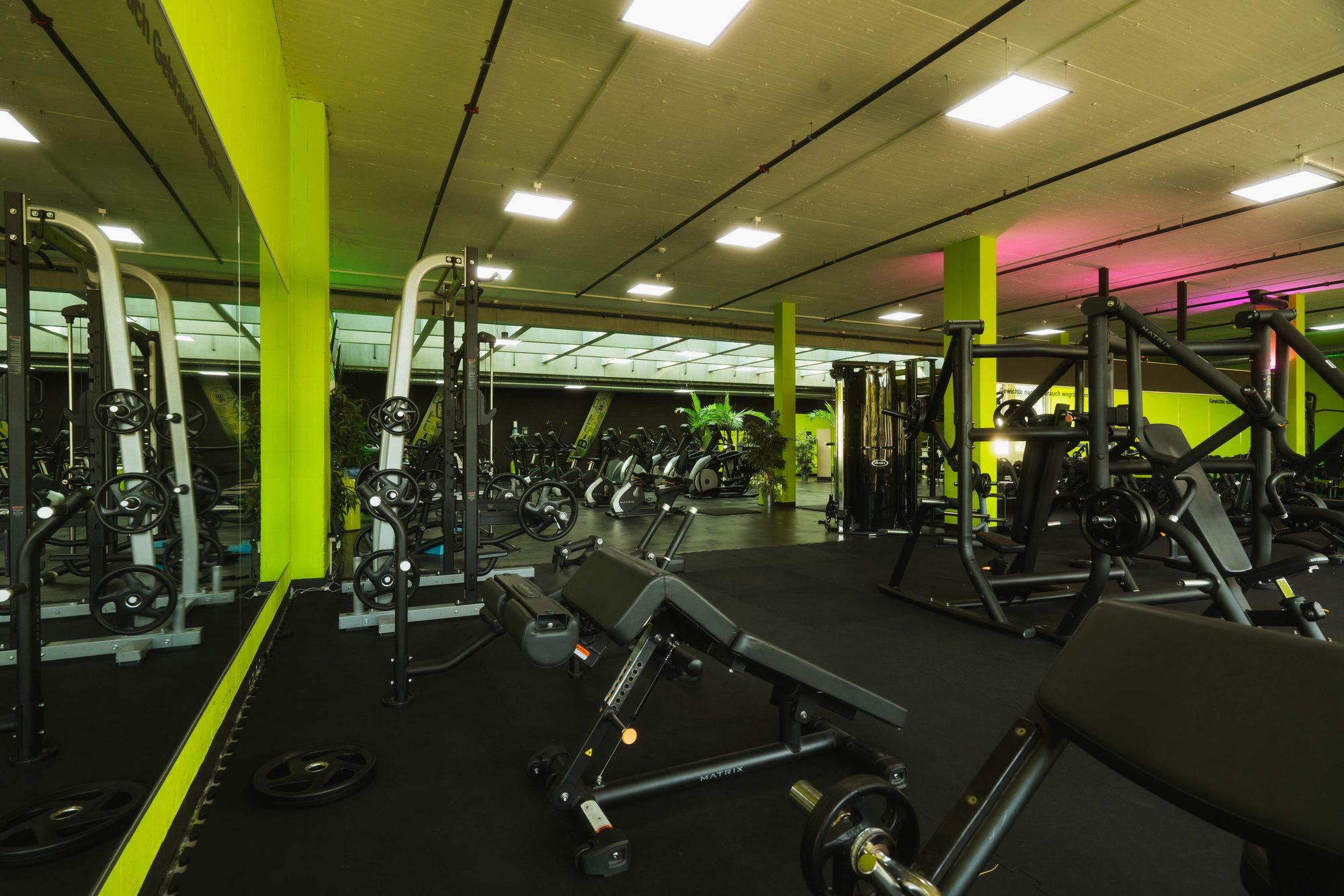 Hantelbereich in einem B-FIT Studio