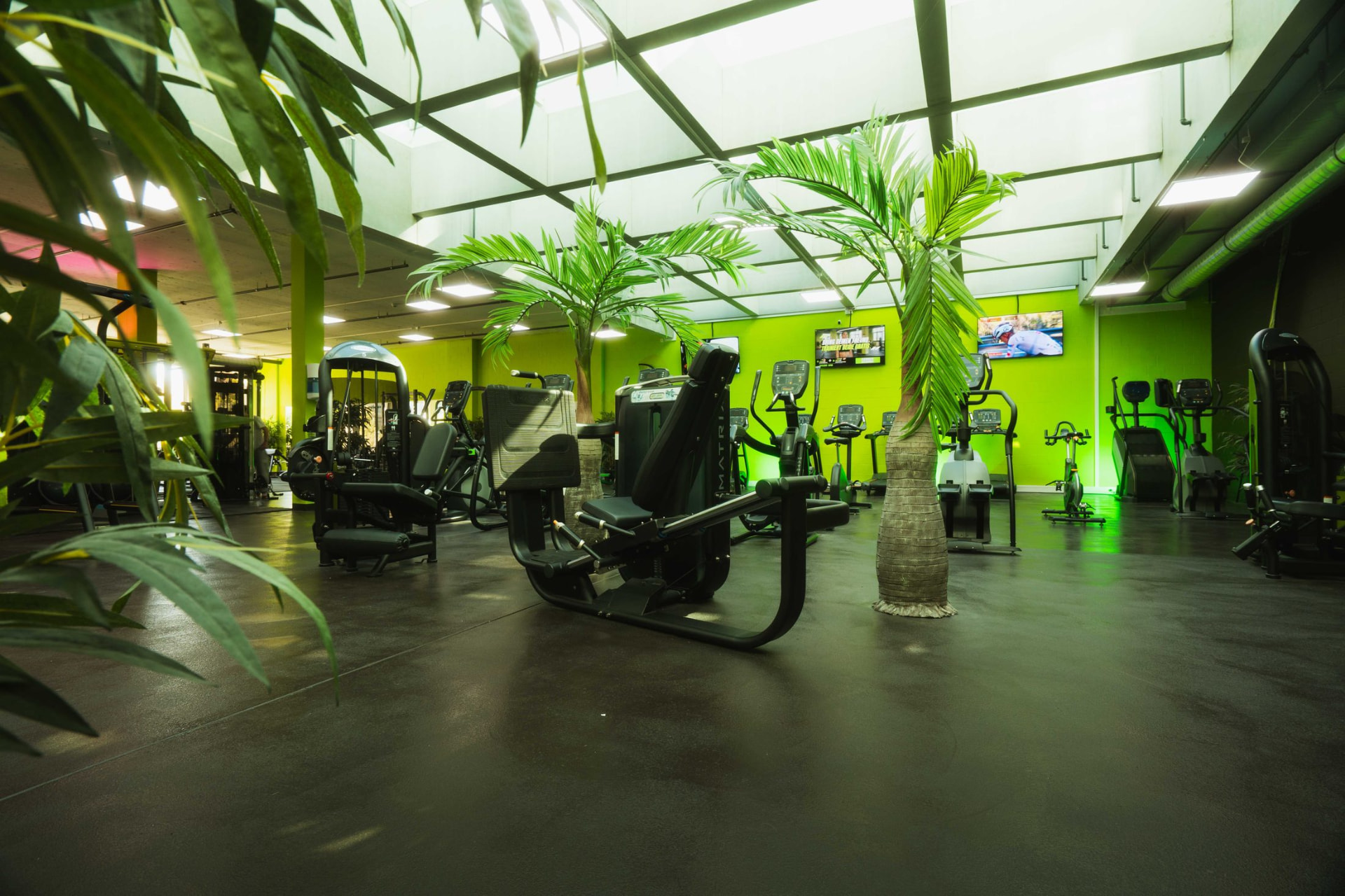 Trainingsfläche mit Palmen in einem B-FIT Studio